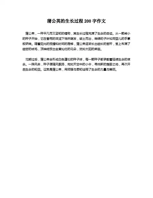 蒲公英的生长过程200字作文