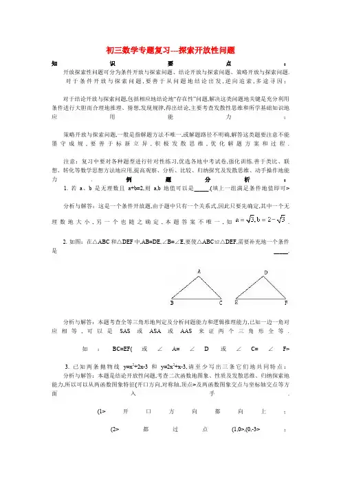 数学专题复习探索开放性问题