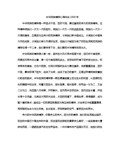 中华民族精神心得体会1000字
