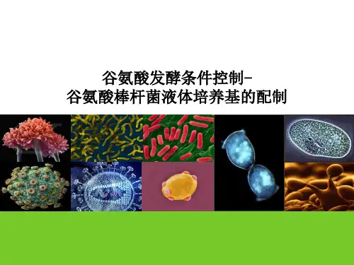 谷氨酸发酵过程控制—谷氨酸棒杆菌液体培养基的配制