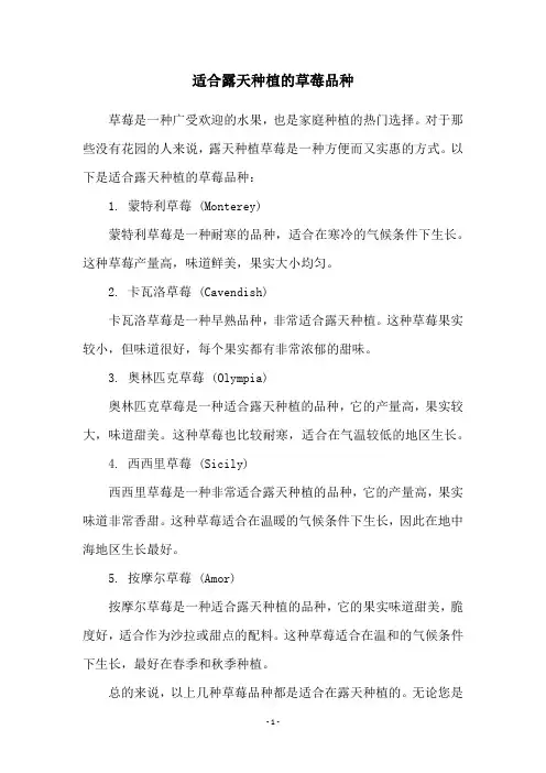 适合露天种植的草莓品种