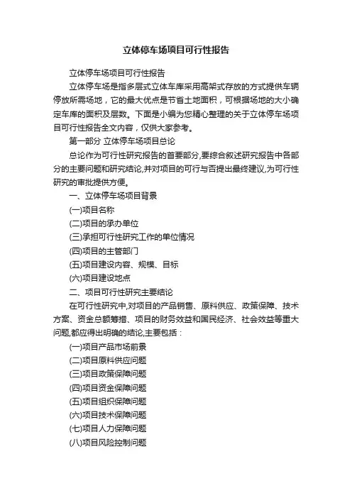 立体停车场项目可行性报告