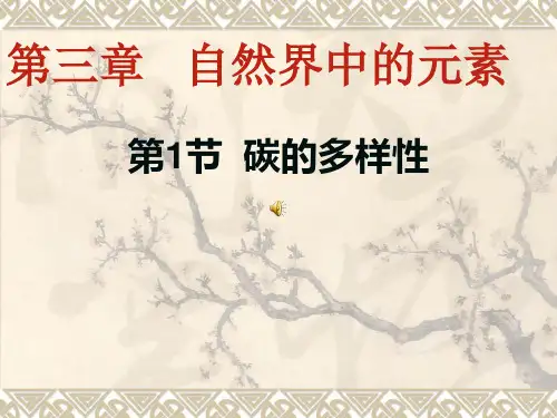 《碳的多样性》ppt
