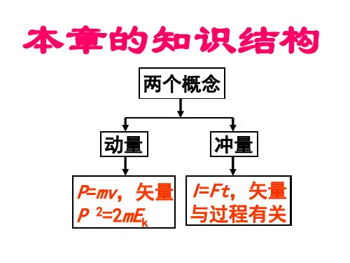 动量和动量定理复习