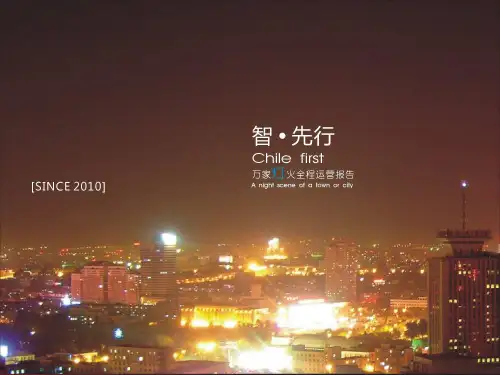 2019年西安高新万家灯火项目提案