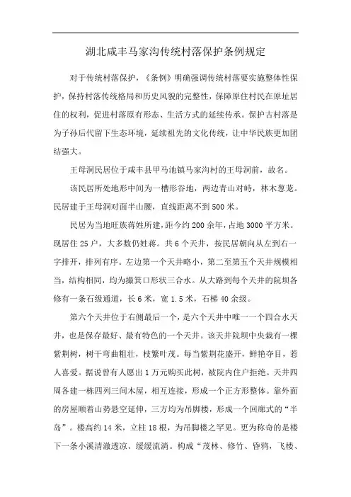 湖北咸丰马家沟传统村落保护条例规定