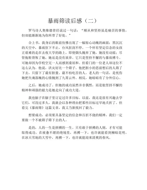 暴雨筛读后感(二)