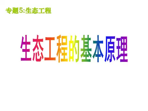 高中生物选修3第5章课件：5-1生态工程的基本原理
