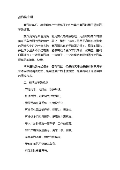 蒸汽洗车机