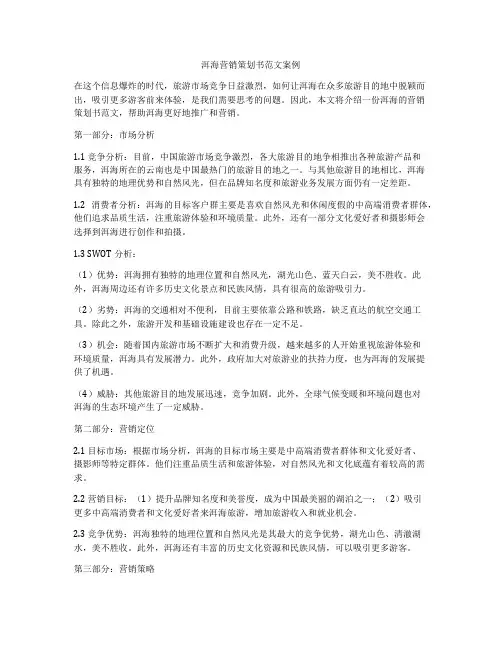 洱海营销策划书范文案例