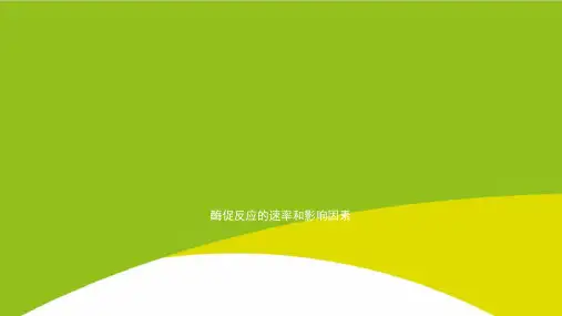 酶促反应的速率和影响因素PPT(完整版)