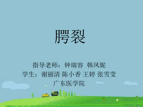 腭裂终极版PPT课件