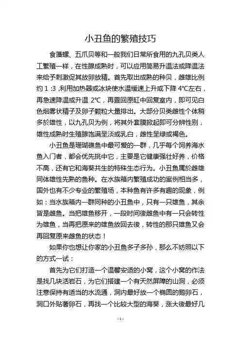小丑鱼的繁殖技巧