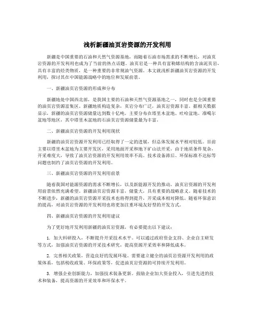 浅析新疆油页岩资源的开发利用