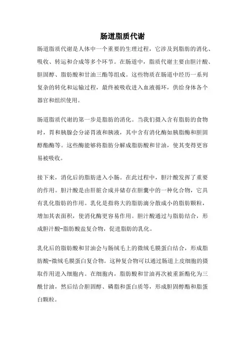 肠道脂质代谢