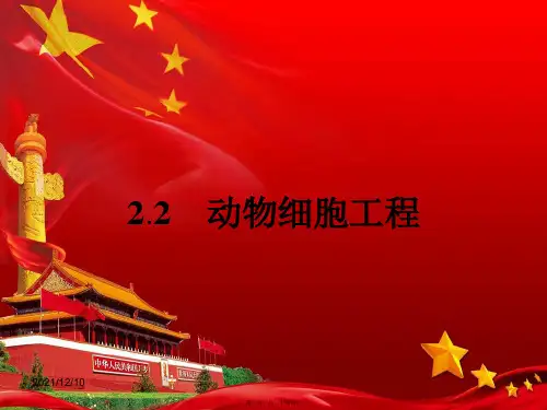 高中生物1动物细胞培养和核移植技术课件选修3高二选修3生物课件