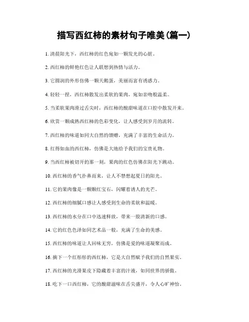 描写西红柿的素材句子唯美(精选合集2篇)