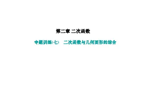 北师版九年级数学下册作业课件 第二章 二次函数 专题训练(七) 二次函数与几何图形的综合