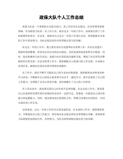 政保大队个人工作总结