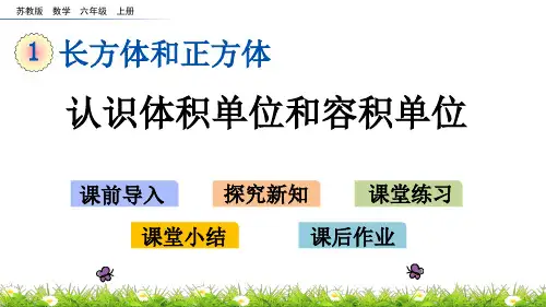 (新)苏教版六年级数学上册《1.8 认识体积单位和容积单位》PPT课件(精美)