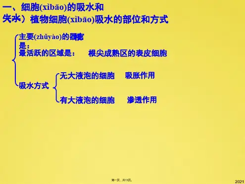 细胞的吸水和失水(共13张PPT)