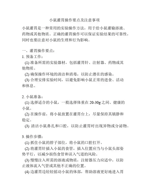 小鼠灌胃操作要点及注意事项