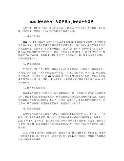 2022审计局年度工作总结范文_审计局半年总结