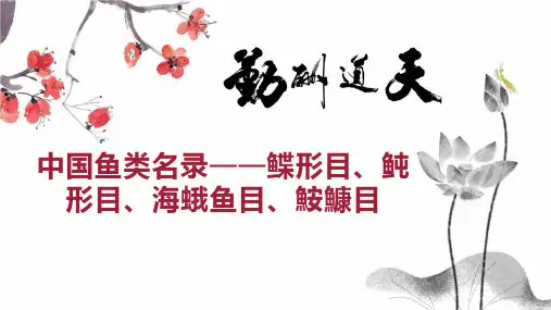 中国鱼类名录鲽形目、鲀形目、海蛾鱼目、鮟鱇目