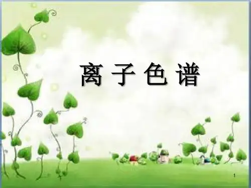 离子色谱仪幻灯片课件