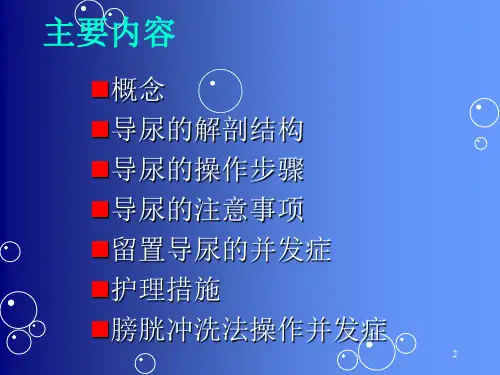 留置导尿的并发症及护理措施 PPT课件