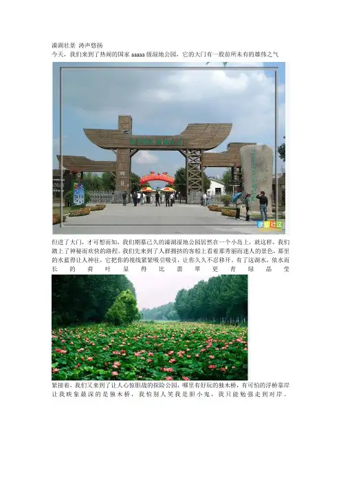溱湖壮景 涛声悠扬