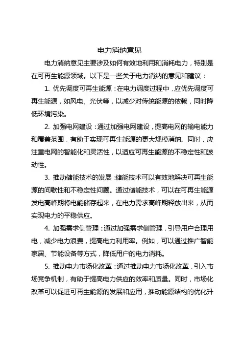 电力消纳意见