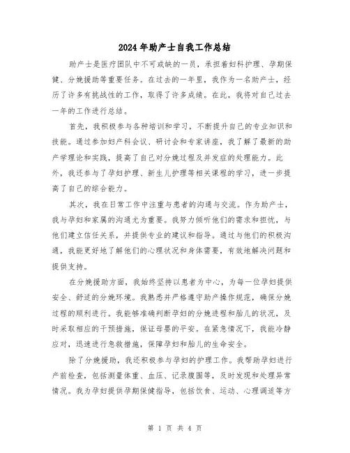 2024年助产士自我工作总结（二篇）