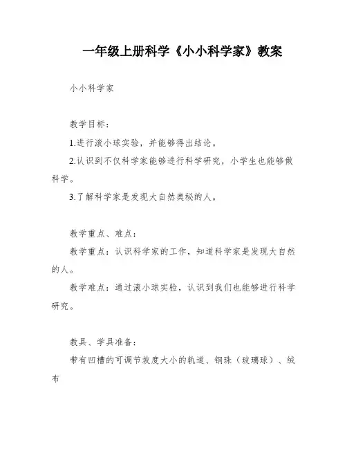 一年级上册科学《小小科学家》教案