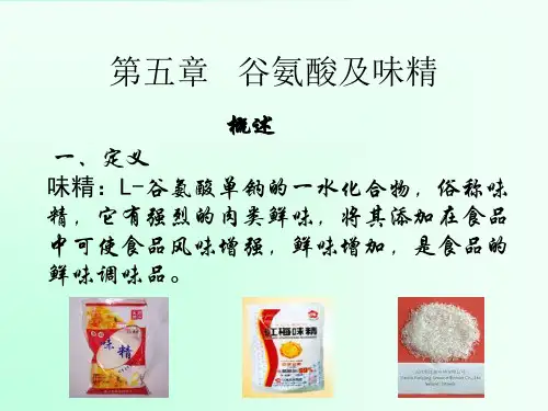 谷氨酸与味精