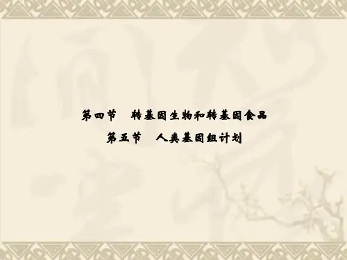 -高中生物 3-2-4～5转基因生物和转基因食品人类基因组计划精品课件 中图版必修2