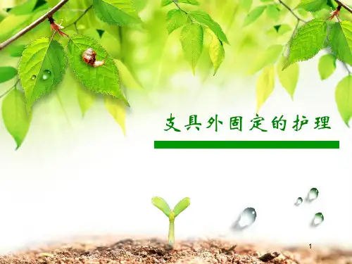 支具外固定的护理PPT课件