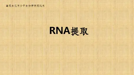 RNA提取详细步骤及注意事项