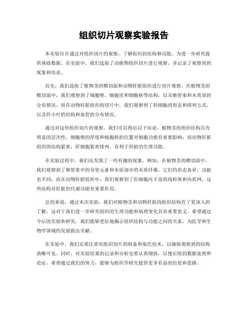 组织切片观察实验报告