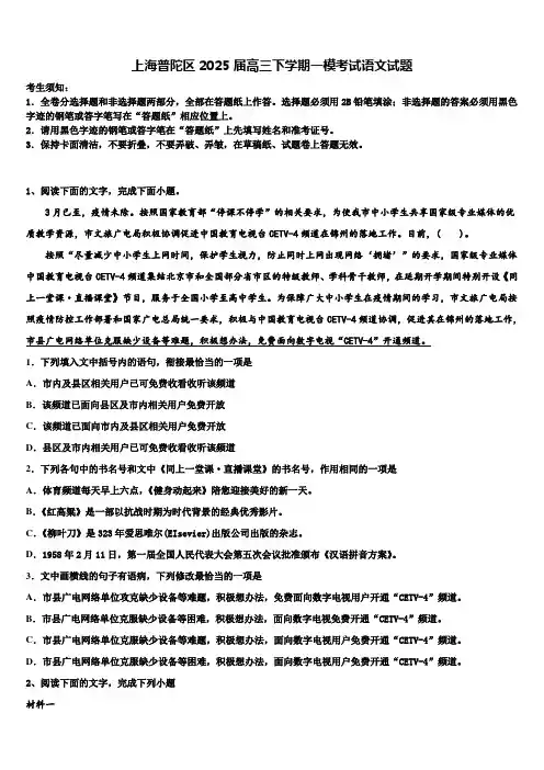 上海普陀区2025届高三下学期一模考试语文试题含解析