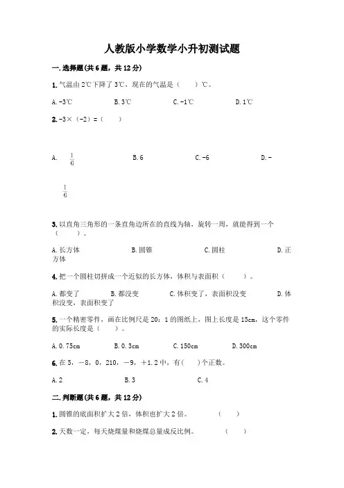 人教版小学数学小升初测试题及参考答案(黄金题型)附参考答案【名师推荐】
