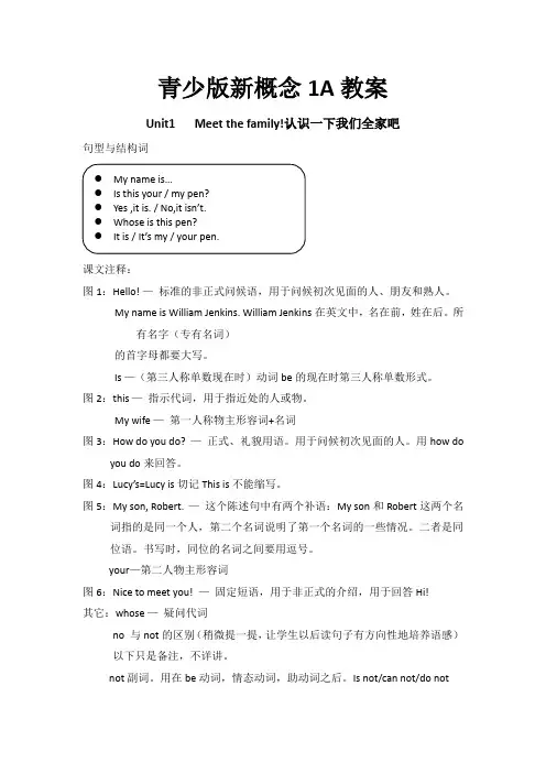 新概念英语青少版1A详细教案