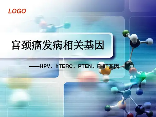 宫颈癌相关基因