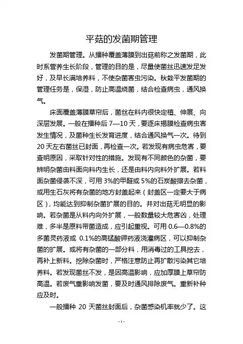 平菇的发菌期管理