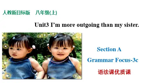 Unit 3  Section A Grammar Focus-3c 语法课优质课件(共29张)+音