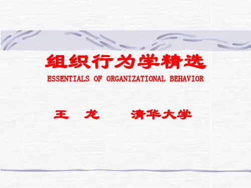组织行为学精选(ppt 77页)