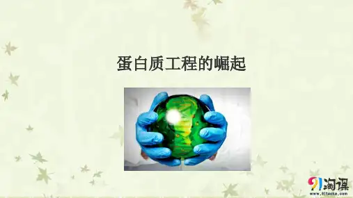 课件14：1.4 蛋白质工程的崛起