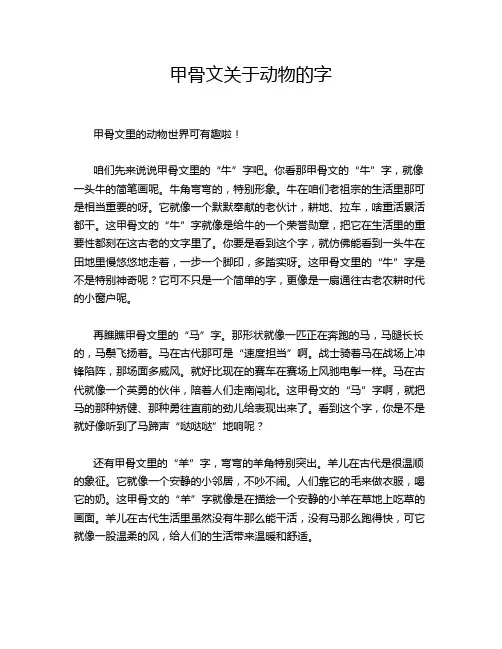 甲骨文关于动物的字