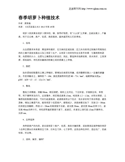 春季胡萝卜种植技术
