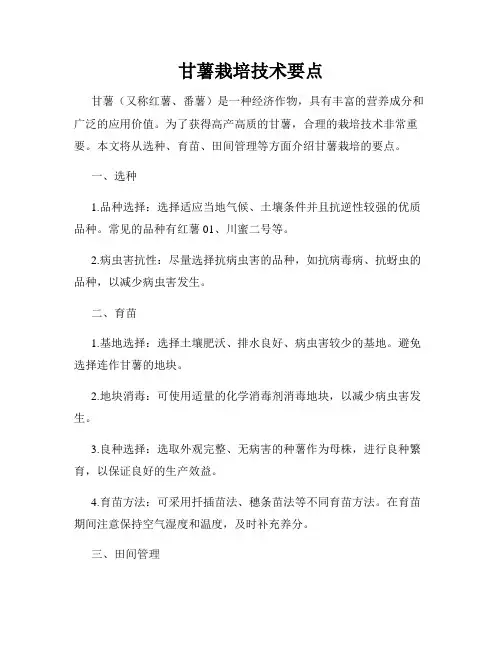甘薯栽培技术要点